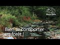 Salut les bêtes : bien se comporter en forêt