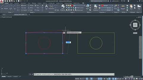 Selection Working with GRIPS and grip editing in AutoCAD