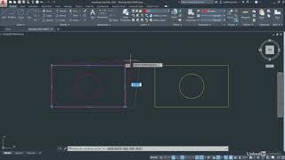 Selection Working with GRIPS and grip editing in AutoCAD