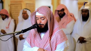 أَيَحْسَبُ الْإِنسَانُ أَن يُتْرَكَ سُدًى  بصوت القارئ وديع اليمني