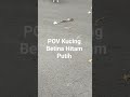POV Kucing Betina Hitam Putih #2000subscribers #4000hours #cat #animals #catshorts #betinagacor