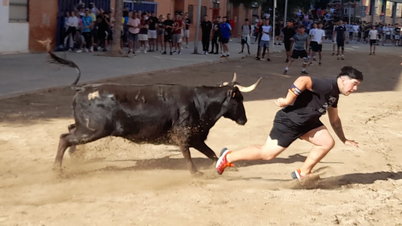 Festejos Taurinos en Burriana 2025- Tarde de Mansilla.Penya Gent de Barri, La Bosca.