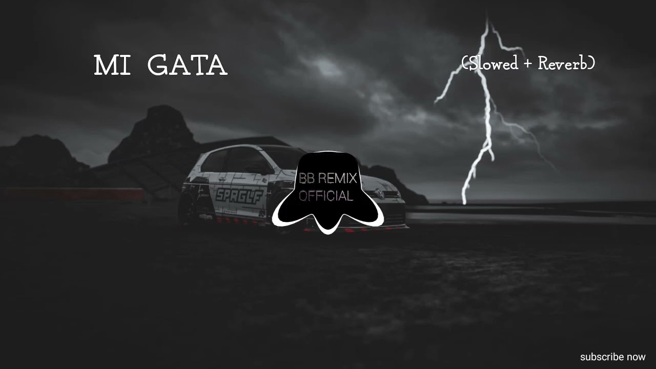 Mi Gata --( slowed reverb 8d )-- remix
