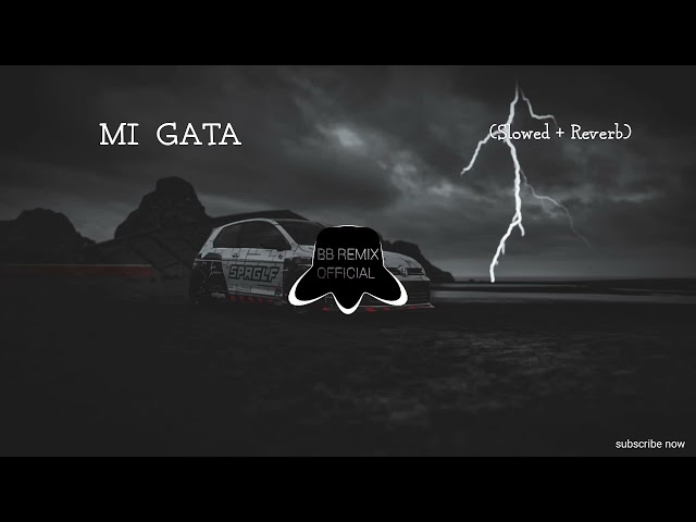 Mi Gata --( slowed reverb 8d )-- remix class=