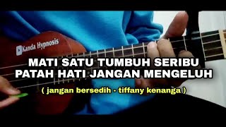 putus cinta soal biasa sedihnya jangan lama lama (JANGAN BERSEDIH-TIFFANY KENANGA) Cover Ukulele