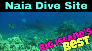 Big Island Scuba Diving  Naia Dive Site  | Kona Honu Divers