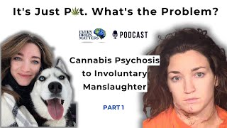 Cannabis-Induced Psychosis to Involuntary Manslaughter: The Bryn Spejcher Trial, Part 1