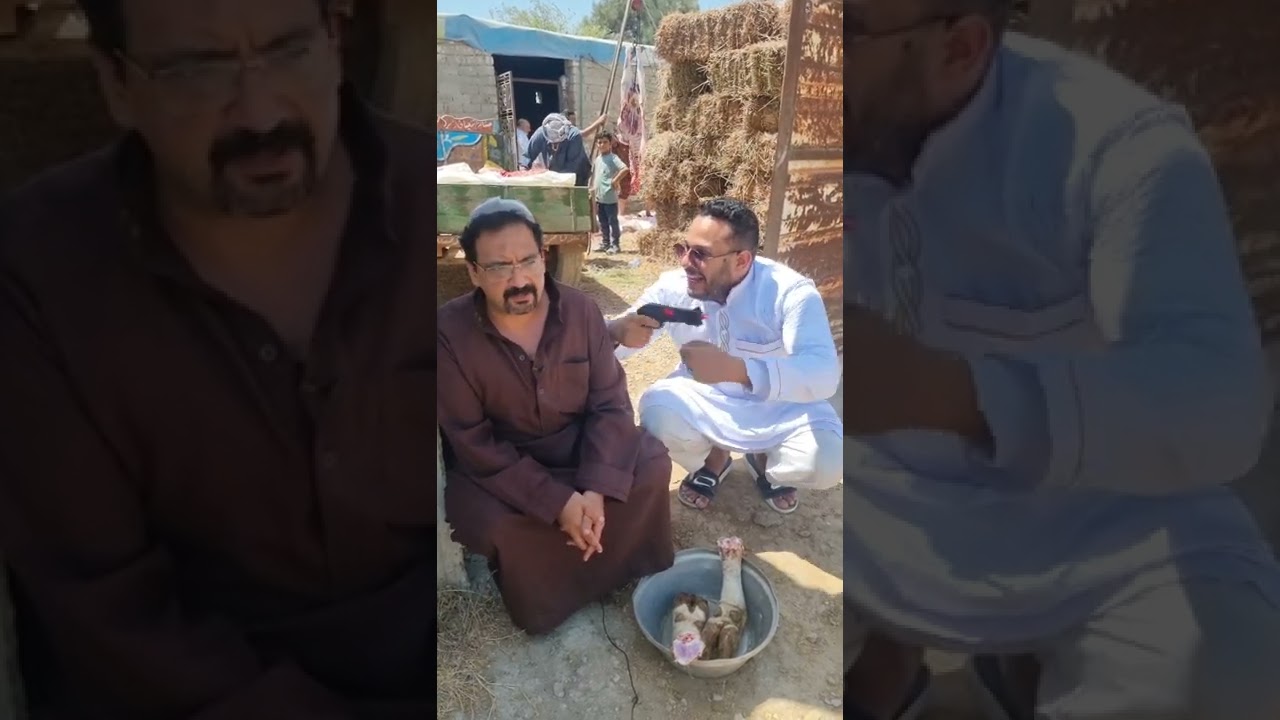 اجواء خروف العيد المبهجه 🙂