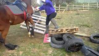 falling off vinnie{RAW}