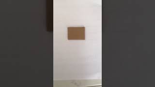Danbo #cardboardart