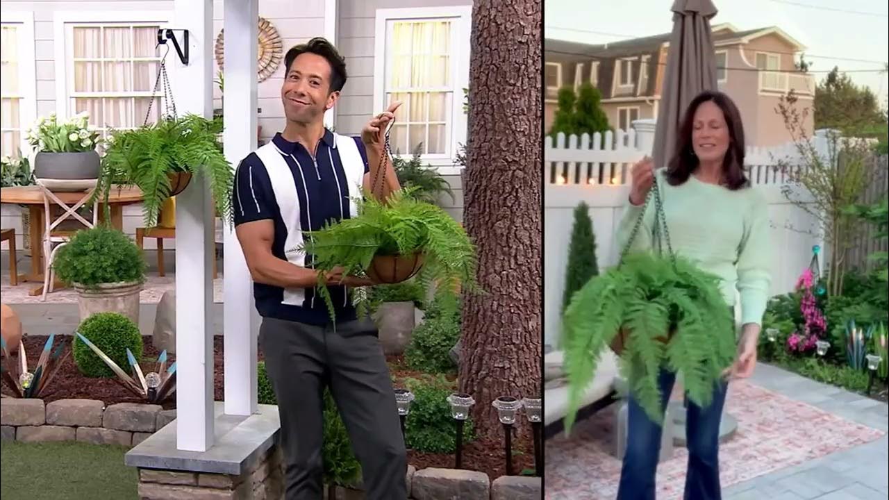 Garden Reflections Set of 2 12" Faux Fern Hanging Baskets on QVC YouTube