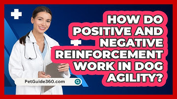 How Do Positive And Negative Reinforcement Work In Dog Agility? - PetGuide360.com