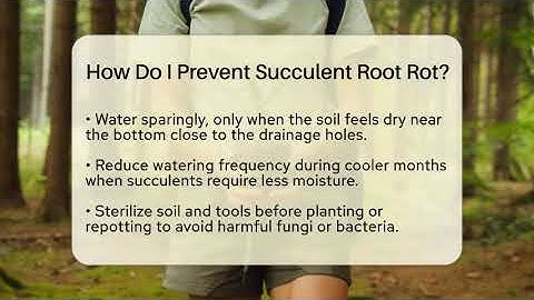 How Do I Prevent Succulent Root Rot? - The Plant Enthusiast