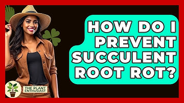How Do I Prevent Succulent Root Rot? - The Plant Enthusiast