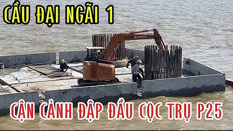 CẦU ĐẠU NGÃI 1 thi công đập đầu cọc trụ p25