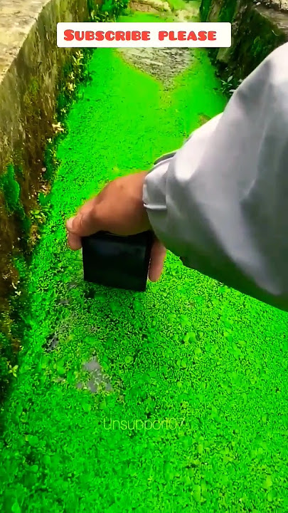 After Animal Movie : Vibing like Bobby Deol | Jamal Jamaloo #Animal #jamaljamaloo #bobbbydeol