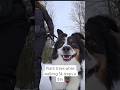 Free app to walk and plant trees 🌳🐕‍🦺🚶‍♀️🌍💚