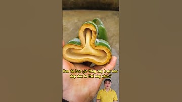 Cây trúc đẹp độc lạ. #shorts