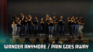 Wander Anymore / Pain Goes Away — 10 Year Ampli-versary Concert