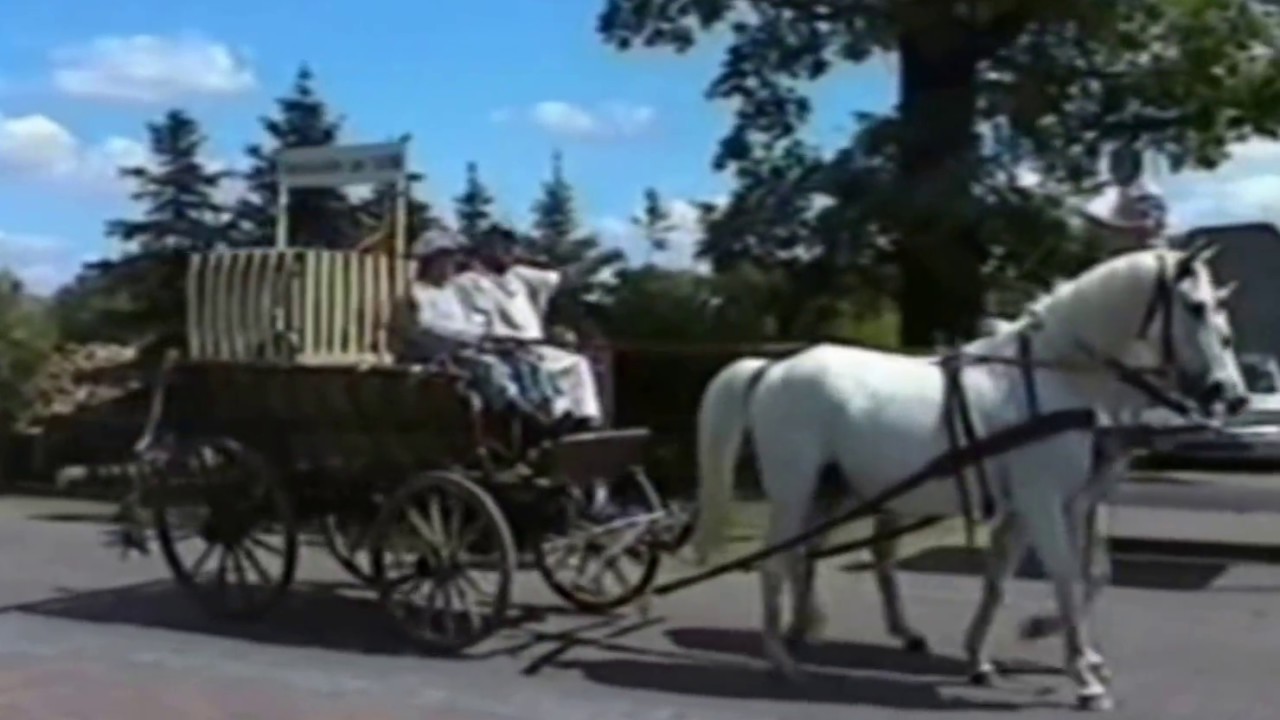 Cammer  Der ganze Umzug 2008