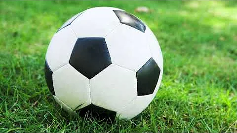 Guess the Sport Ball by Amy Siebert