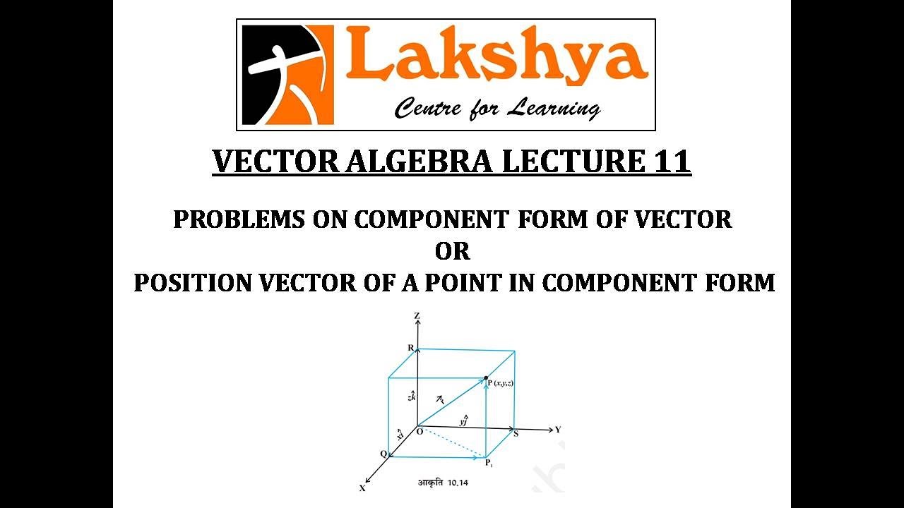 vector assignment class 12