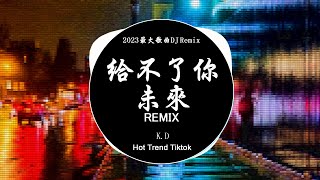 给不了你未来 - K.D (DJ抖音 Remix)【抖音热门歌曲】『我給你的愛算我的失態 好像和你從來都不會有未來。』抖音 Hot Tiktok Douyin | Baozhang Remix