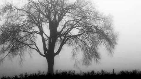 Frozen Acoustic version - Acoustic performance video thumbnail