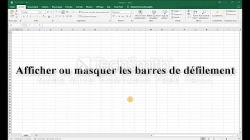 Cours Excel | Afficher ou masquer les barres de défilement