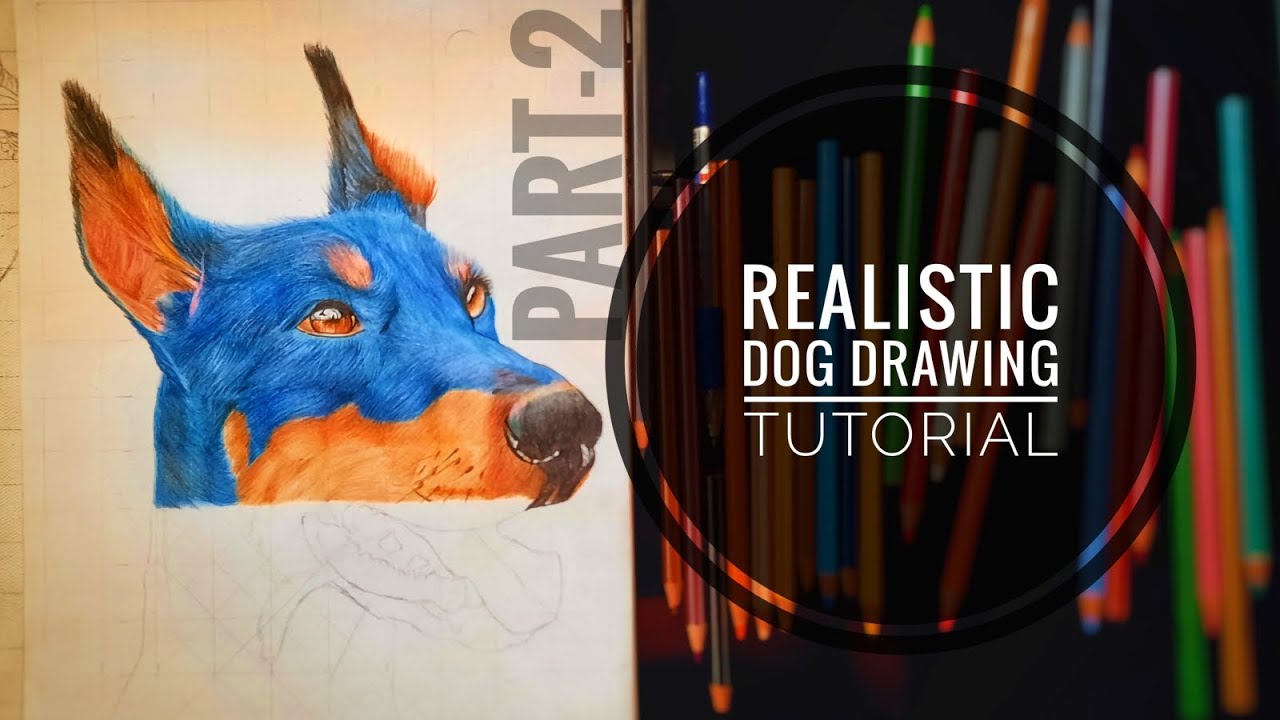 Realistic Dog Drawing ️Tutorial Part-2 |Tips and trick |Must Watch|The ...