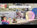 Cockatiel Bird Ko Hand Feeding Kaise Kare | Baby Cockatiel Hand Feeding Complete Guide in Hindi