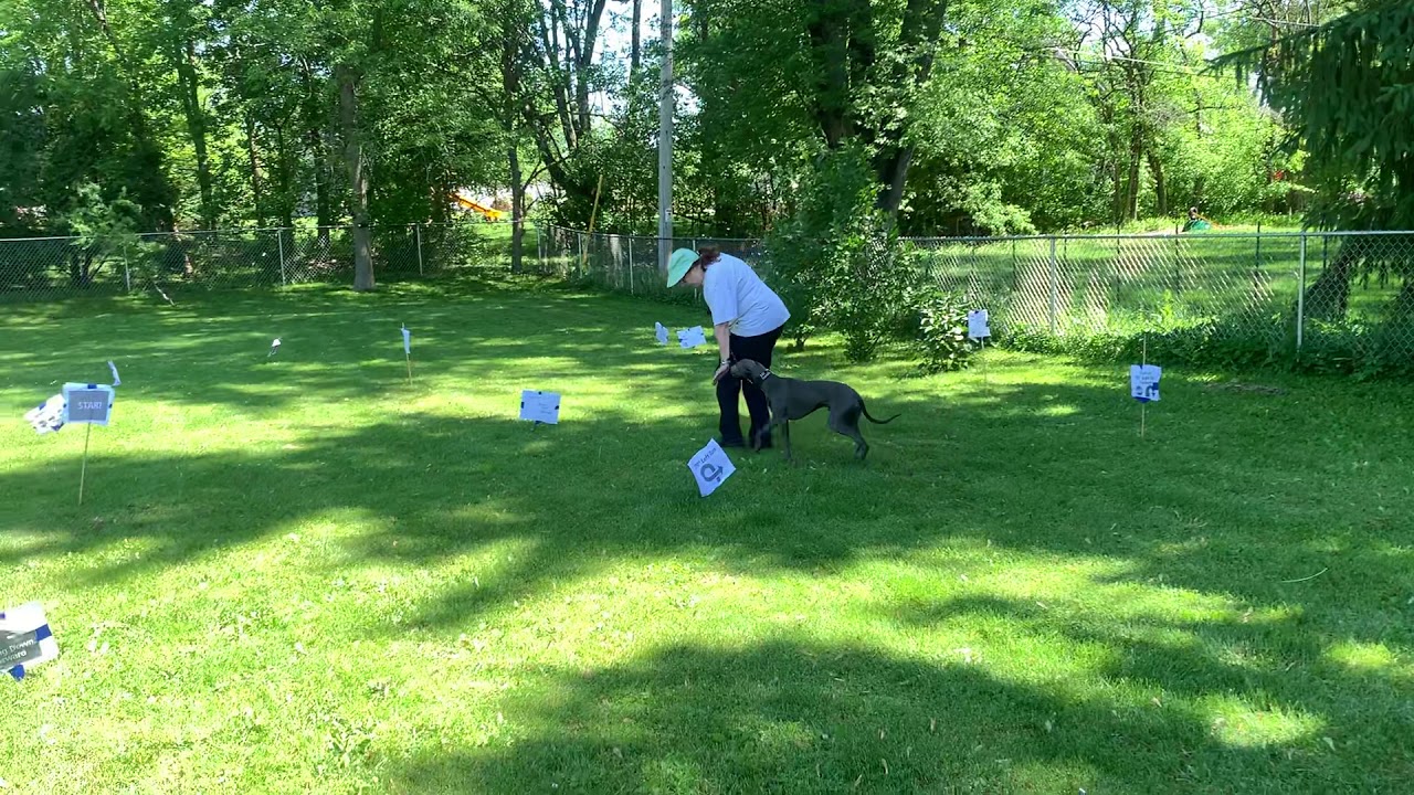 Rally novice course 5 smith - YouTube