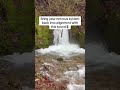 Bring your nervous system back into alignment with this sound