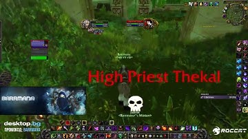 Warlock Solo Farm High Priest Thekal (Tiger Boss) - Zul Gurub