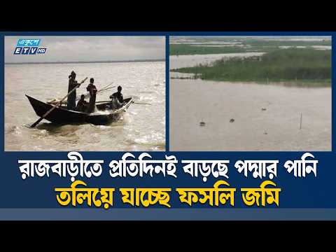 রাজবাড়ীতে প্রতিদিনই বাড়ছে পদ্মার পানি, তলিয়ে যাচ্ছে ফসলি জমি | Rajbari | ETV News