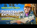 Рыбалка в Кисловодске  на Дальнем кордоне. #Кисловодск7ноября