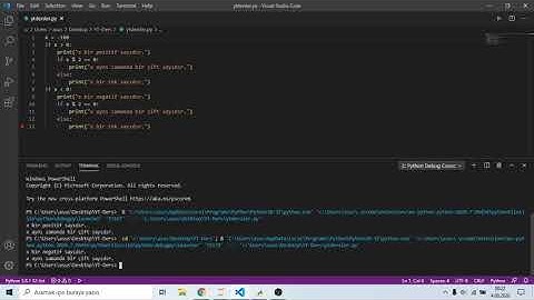 Python İç İçe Döngüler ve Koşullu İfadeler