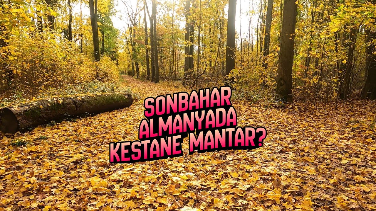 Sonbahar Almanyada ?