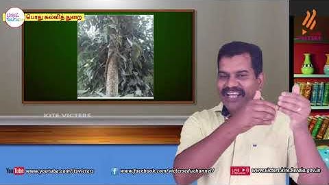 FB2 KITE Palakkad STD 5 Basic Science CH 1 EP 3 First bell2 Tamil medium   பஸ்ட் பெல்2