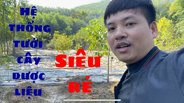 Hệ thống tưới cây dược liệu thông minh và tiết kiệm chi phí | Bác sĩ Lá Văn Khôi