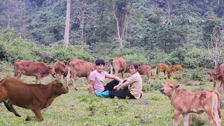 เก็บผักในป่าบริภาษ บ้านกลางป่าบริภาษอันห่างไกล