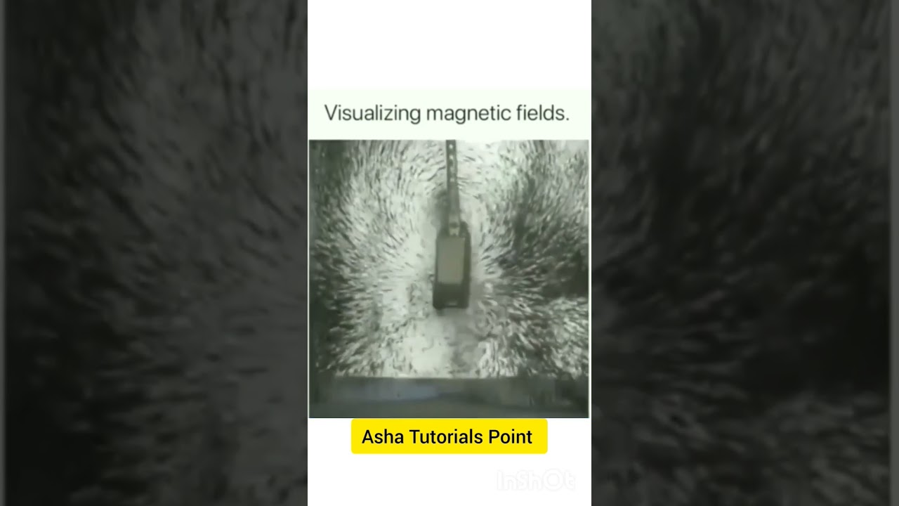 🔴➡️ visualization of magnetic field lines by iron powder | magnetic field | 