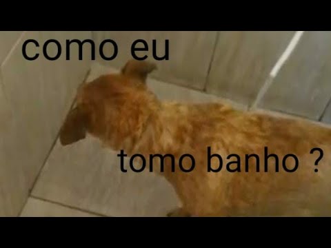 Como eu tomo banho?🤔