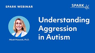 Understanding Aggression in Autism