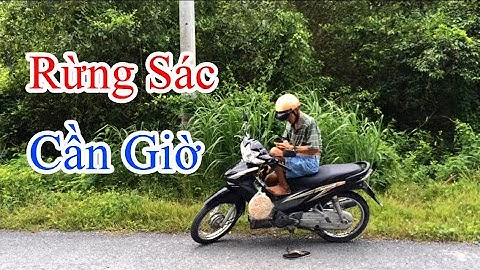 Đò doi lầu rừng sác cần giờ - phuc family vlogs