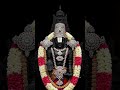 🙏 #tirumala #tirupathi #tirupatibalaji #venkateswaraswamy #venkateswara #tirumala #vaikunta #viral