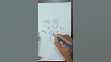 How to draw Tulip step by step. #tulip #art #drawing #tutorial #stepbystep