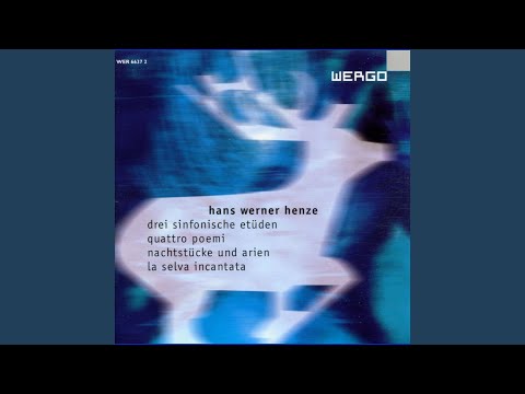 Drei sinfonische Etüden: II. Stimmen