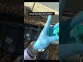 This is why inspections matter… What you’re seeing here is a rodent bait station