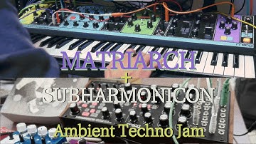 MFW 3 (Ambient Techno Synth Jam Moog Subharmonicon, Matriarch, Sequential Pro 3, Prophet X, etc)